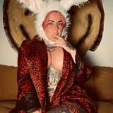 bunnygoon