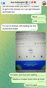 Scammer pretending to be me on telegram anaauberginechats is a scammer