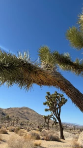 I m in heaven joshua tree ca part 3