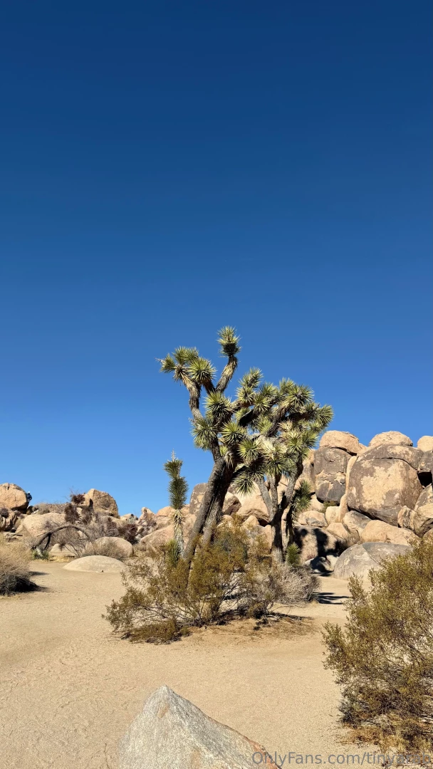 I m in heaven joshua tree ca 