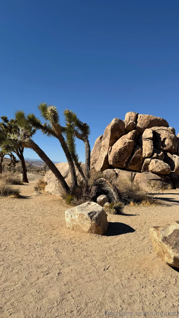 I m in heaven joshua tree ca part 2 