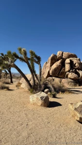 I m in heaven joshua tree ca part 2