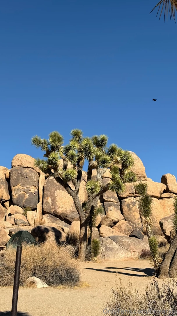 I m in heaven joshua tree ca part 1 