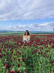 Pick your favorite flower careful i bite