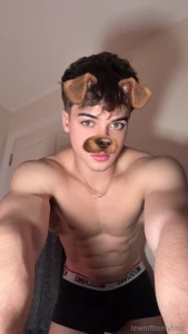 These doggy filters