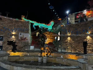 California was a good trip but i am back babyy and with new content part 2