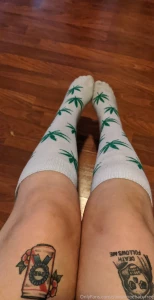 Onlyfrogs6free part 2