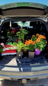 Zen den plants are secured part 2