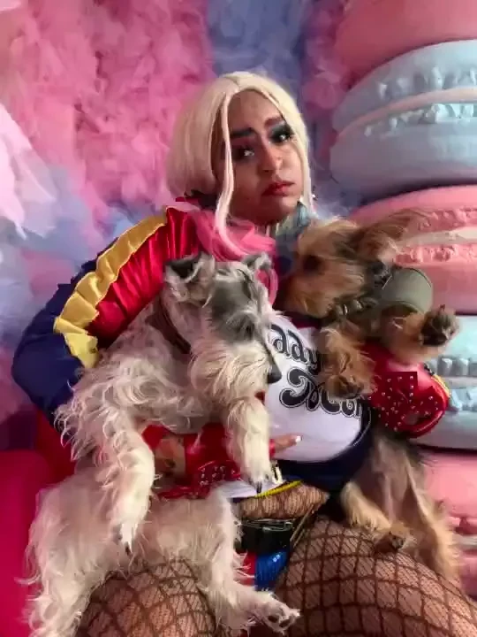 Harley quinn bts w empathy amp loki as harley s hyenas shot by 