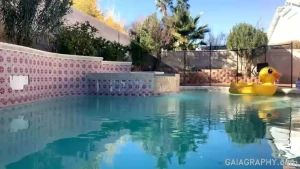 Stream started at 01 20 2022 06 00 pm laps in the pool