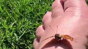 Enjoying the sun and the garden with my garden friends