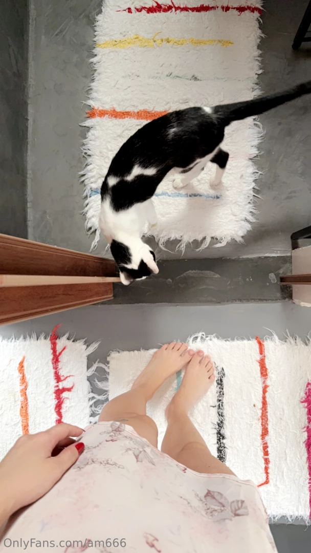 56th day of january sorry it s been a while guys this month was part 2 