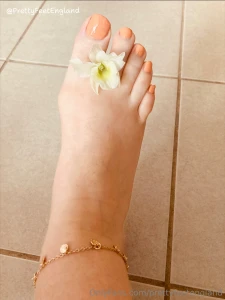 Beautiful flower photos re-edited photos part 1