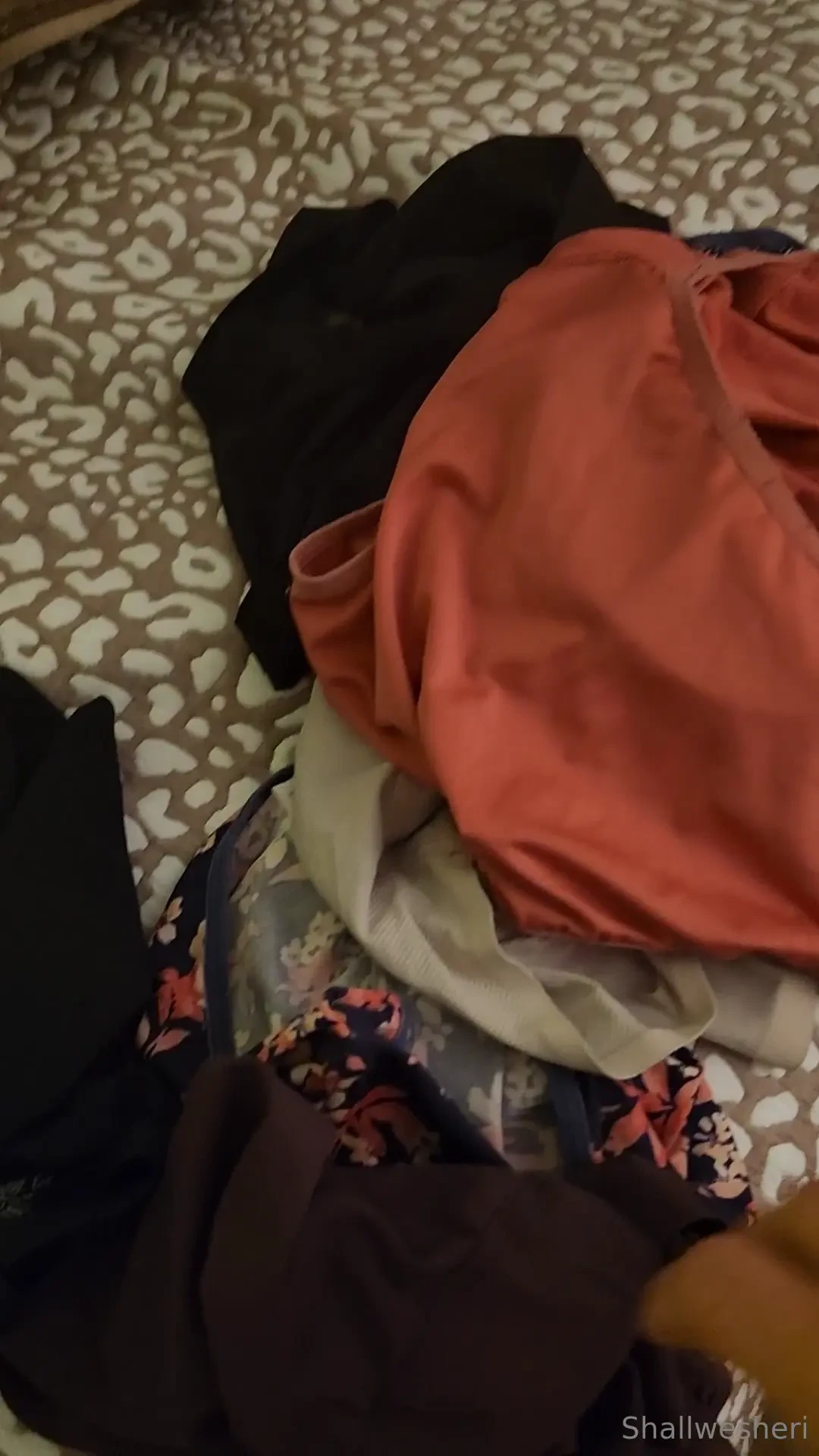 Clean panties shallwesheri 