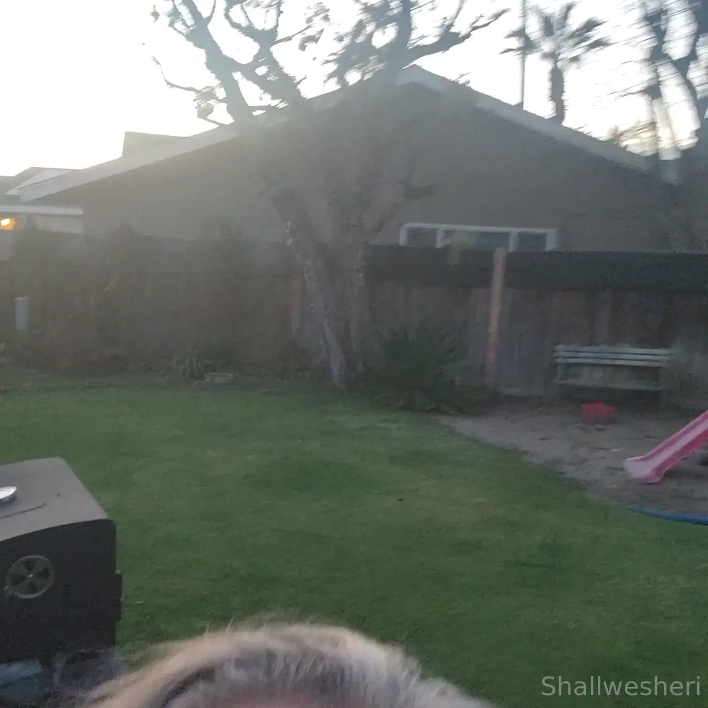 Shallwesheri part 13 