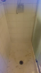 Stream started at 03 10 2024 11 58 pm shower time