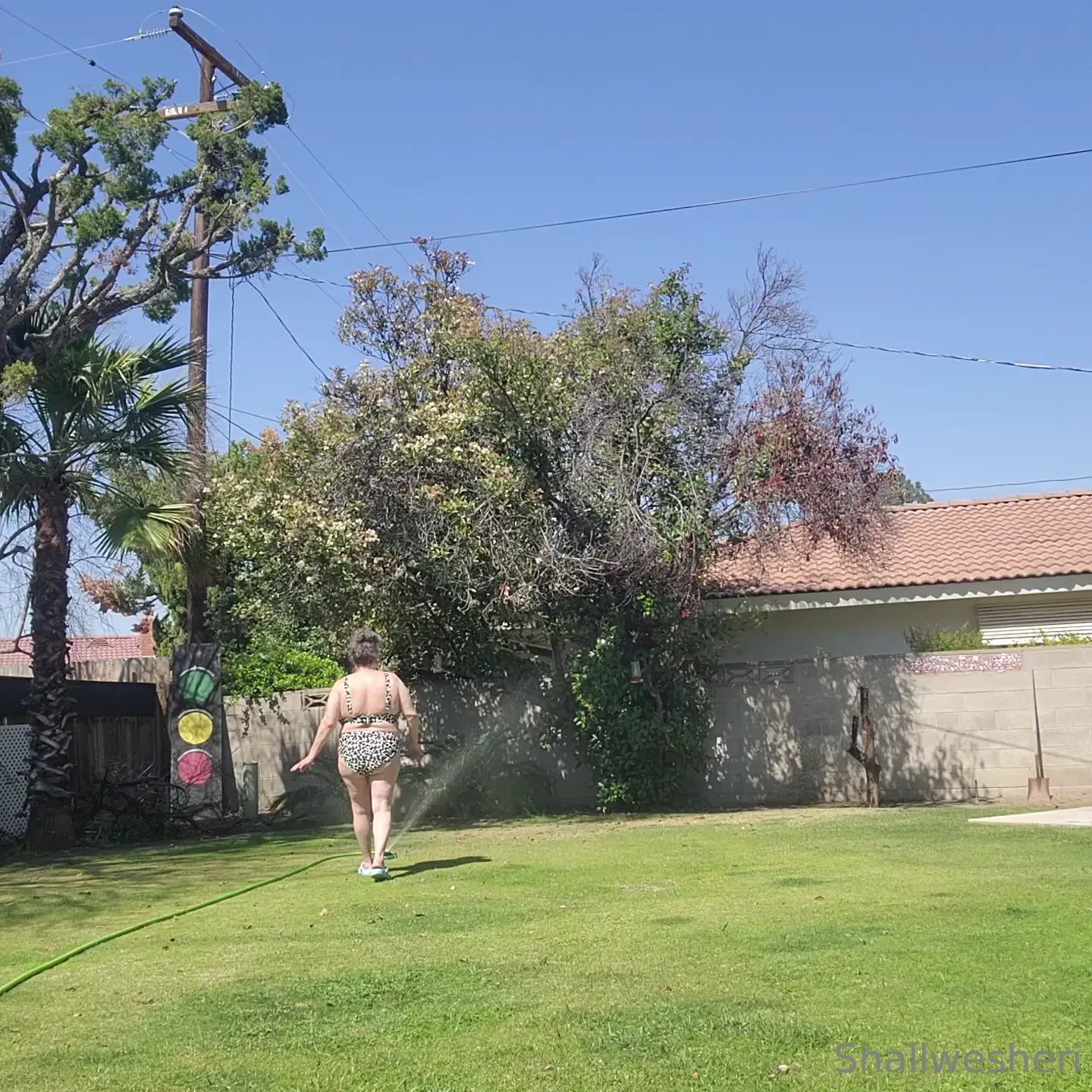 I guess it s not quite warm enough to play in the sprinkler yet 