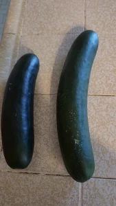 Look what i got at the farmers market today cucumber