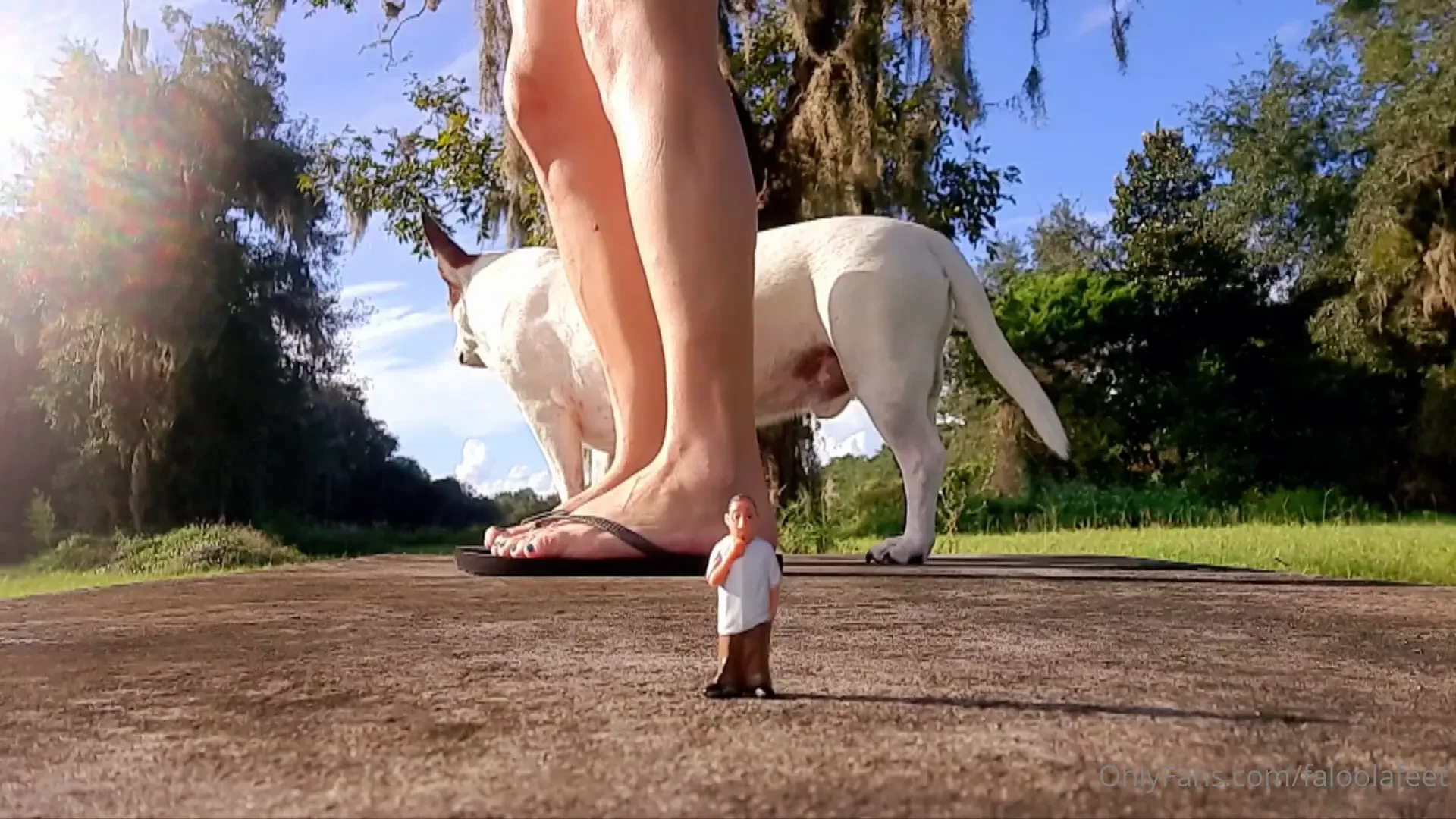 Squash him like a bug 