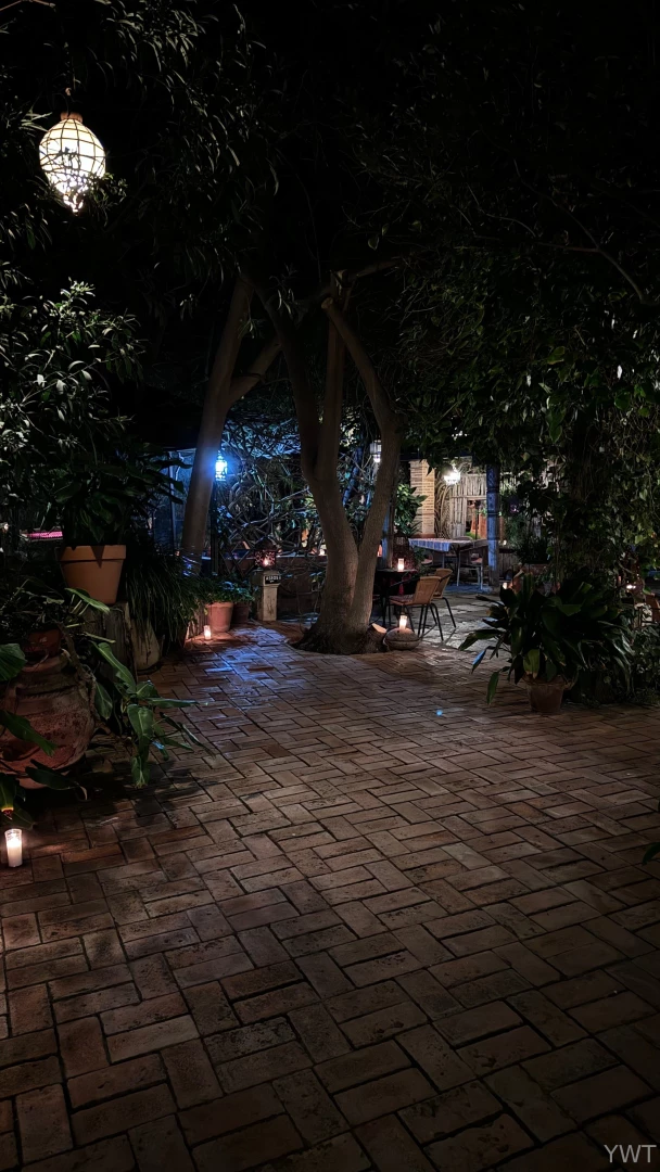 Yesterday visited beautiful tea house location arabic style big green 