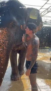 The care love and work this elephant sanctuary do for rescued