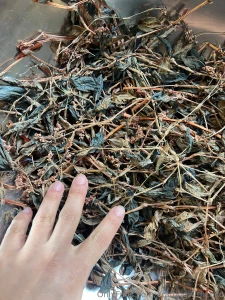 Happy 2025 dear ones how is everyone starting off their year i can t part 4