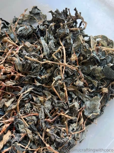 Happy 2025 dear ones how is everyone starting off their year i can t part 2