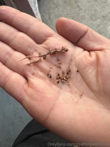 Happy 2025 dear ones how is everyone starting off their year i can t