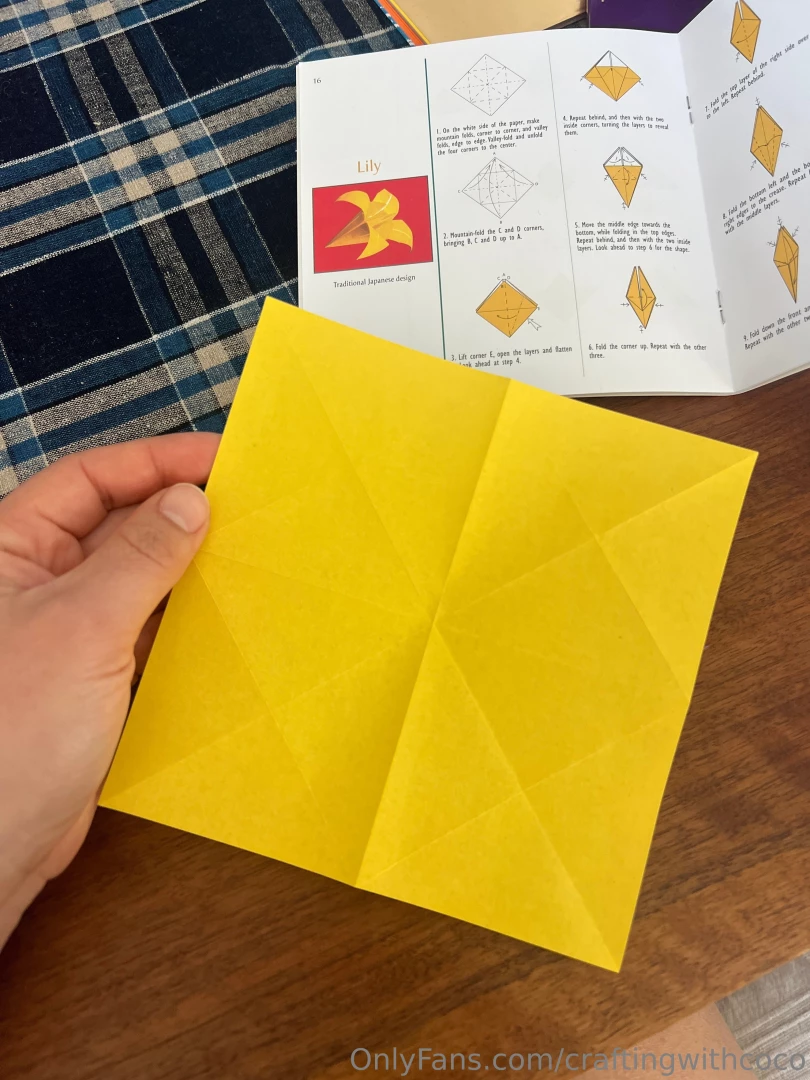 I want to show some of the origami flowers i made during my afternoon part 4 