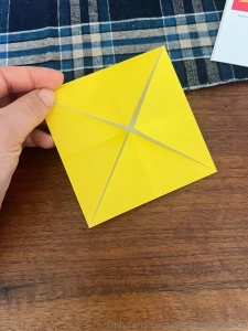 I want to show some of the origami flowers i made during my afternoon part 2