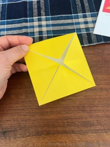 I want to show some of the origami flowers i made during my afternoon part 5