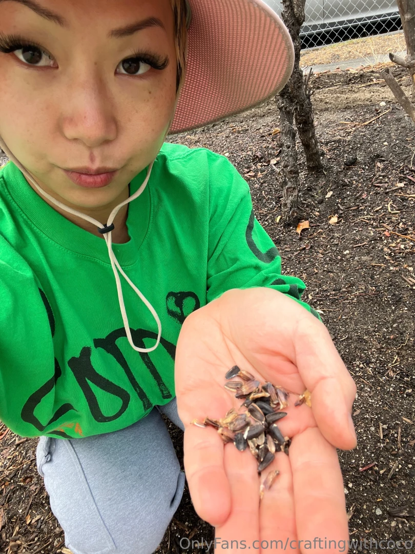 Taking advantage of the current rain in la and planting some sunflower part 3 