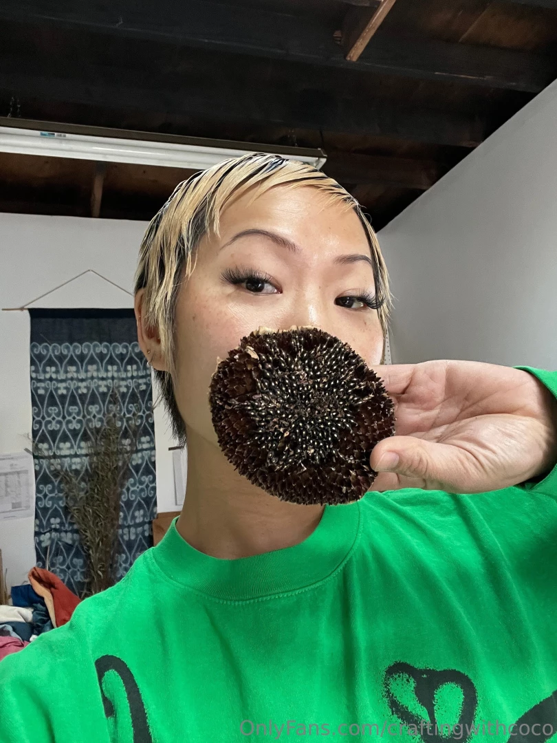 Taking advantage of the current rain in la and planting some sunflower part 1 