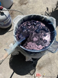 I m having such a blast playing with indigo one of my favorite ways to