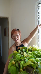 Check out this huuuuge pothos i know pothos plants are kind of basic