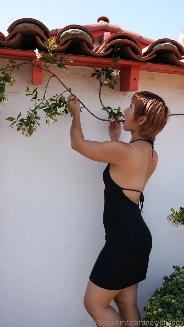 Just enjoying my jasmine on this beautiful summer day can you smell part 2 