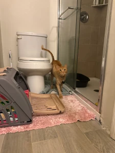 Do the ogs remember him part 1