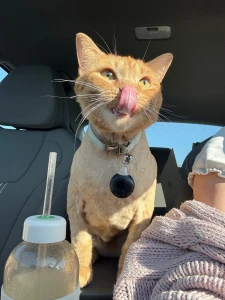 Do the ogs remember him