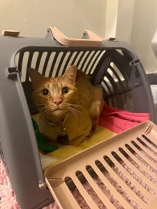 Do the ogs remember him part 2