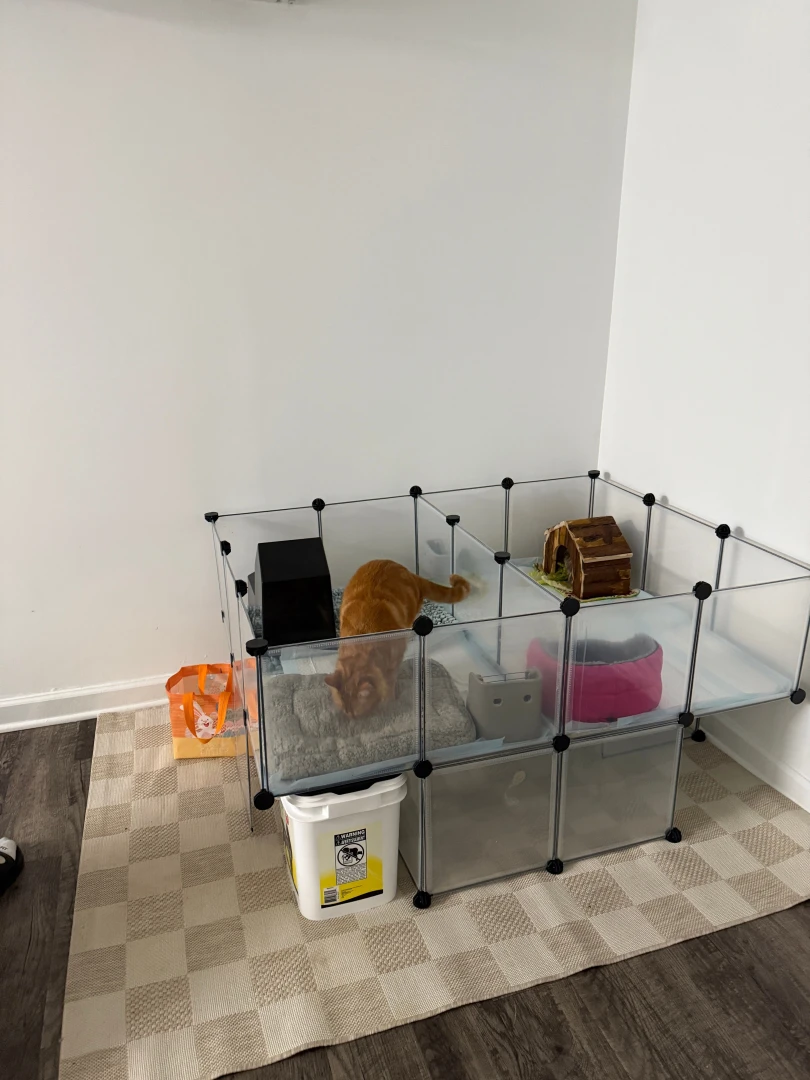 After 10 whole hours we are moved in part 2 