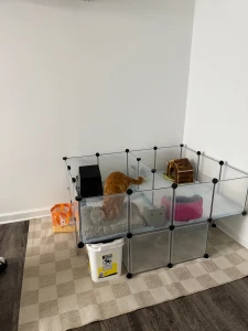 After 10 whole hours we are moved in part 2