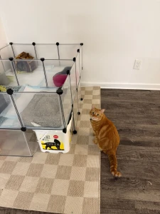 After 10 whole hours we are moved in part 4