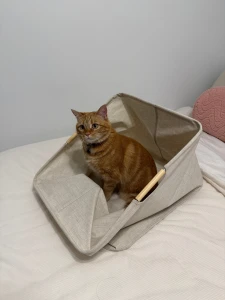 After 10 whole hours we are moved in