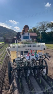 Yanmar ph4r-t onion transplanter