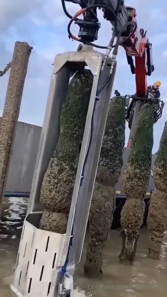 Cleaning fouling from marine piles 