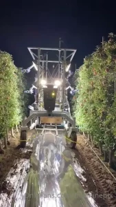 Apple picker by advance farm