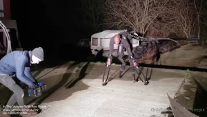 Large creature reference test for visual effects by ace ruele