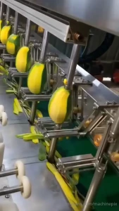 Industrial mango peeler