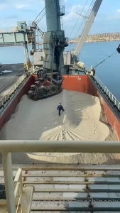Time-lapse of emptying a bulk carrier with a chain bucket ship