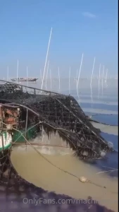 Harvesting at a seaweed farm